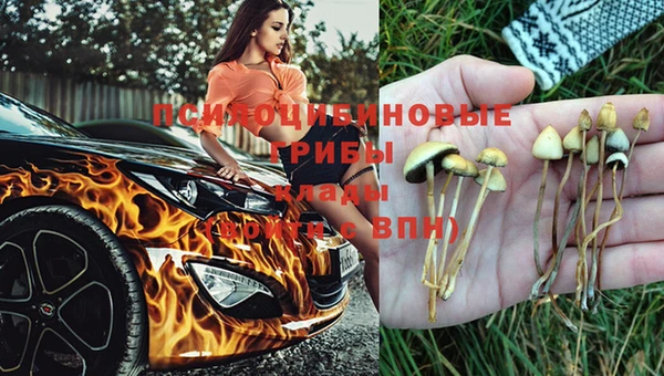 СК Горняк