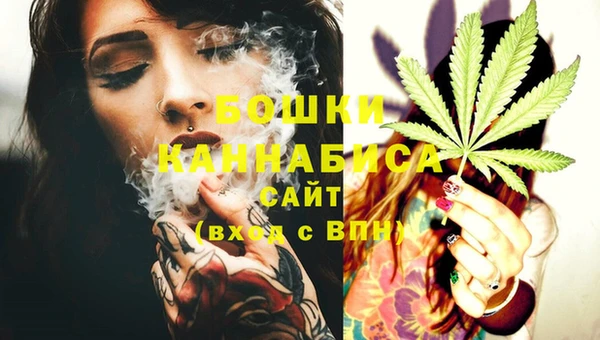 ешки Дмитриев