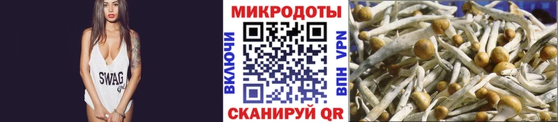 Галлюциногенные грибы Magic Shrooms  omg зеркало  Задонск  магазин продажи  